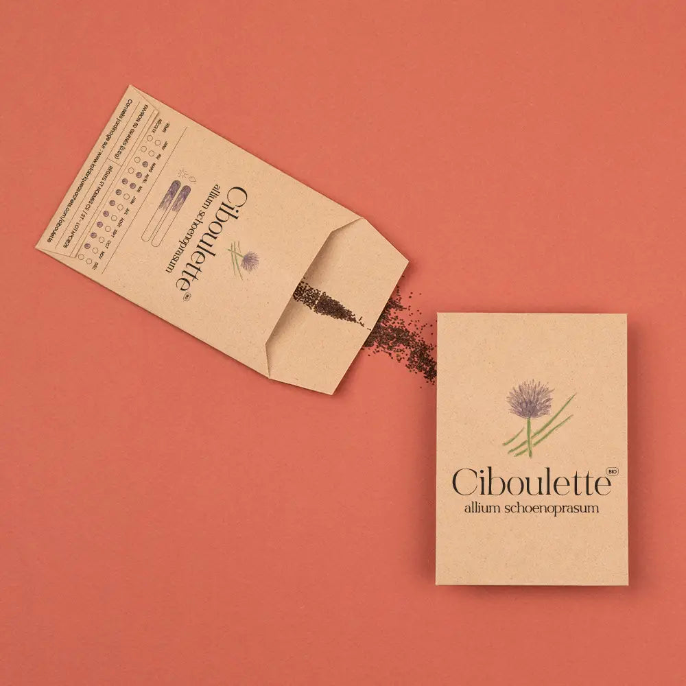 Seed packet