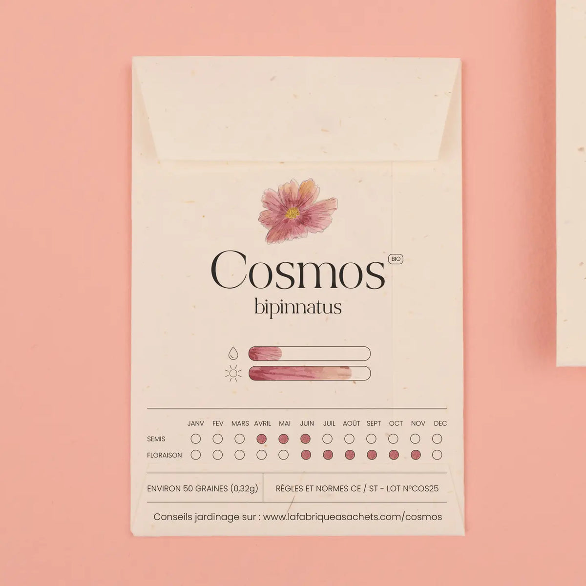 Seed packet
